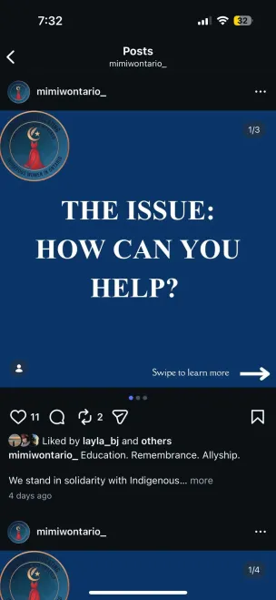 Campaign post: The issue, how can you help?